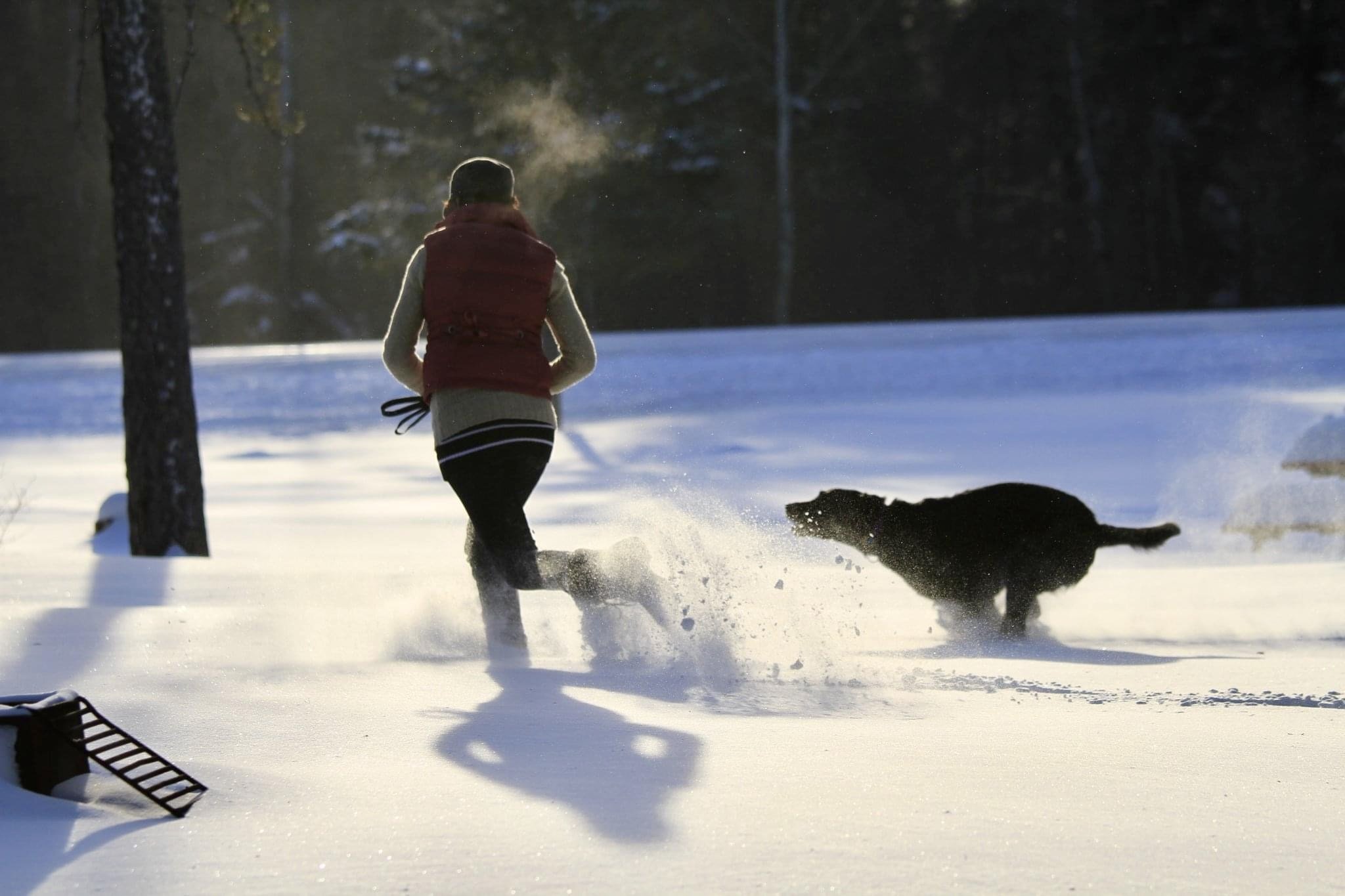 A person running with their dog in the snow in Manitoba on a sunny day. Carefree thanks to SPF preventing premature aging 